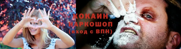 крисы Осинники
