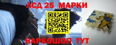 гашик Бердск