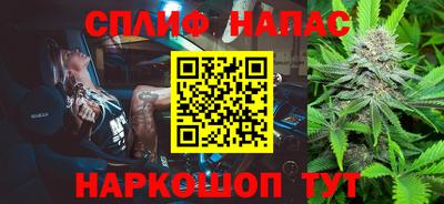 гашик Бердск