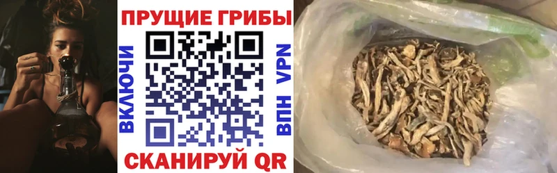 хочу   Белая Калитва  Галлюциногенные грибы GOLDEN TEACHER 